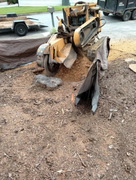 Stump grinding machine cutting a stump in a residential yard